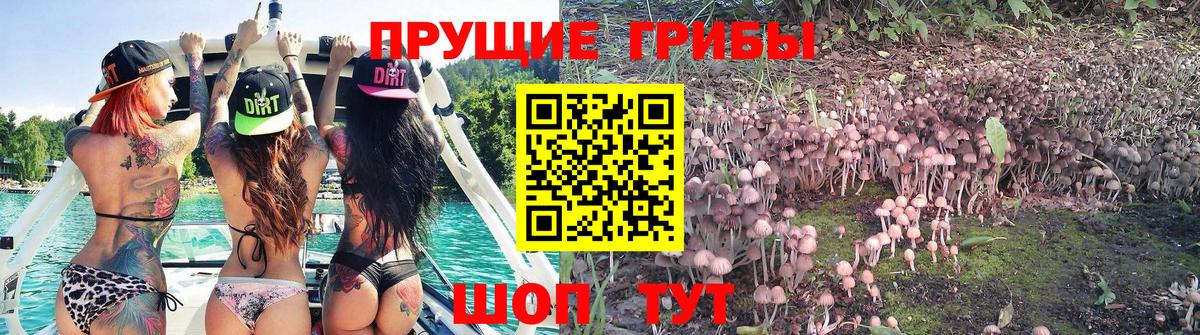 Псилоцибиновые грибы Magic Shrooms Аша